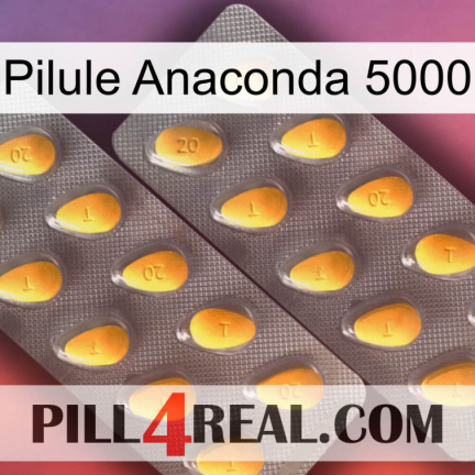 Anaconda 5000 Pill cialis2